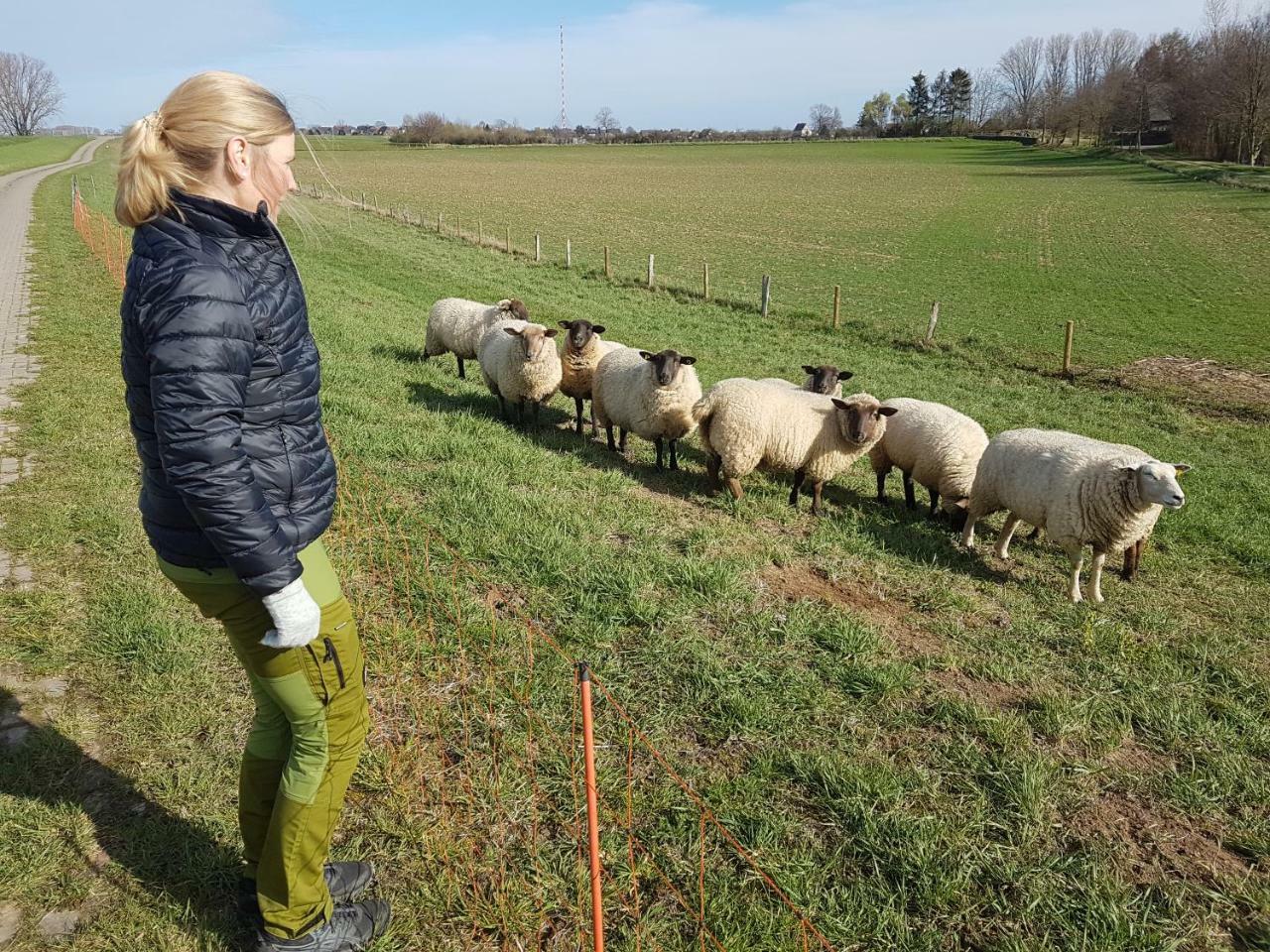 Domizil Xanten Luaran gambar